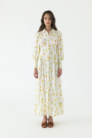 Juliet Collar Maxi Shirt Dress